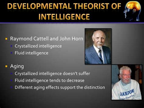 Theories of Intelligence