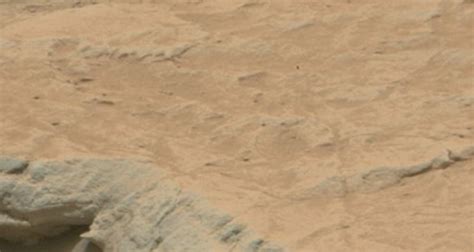 Did Curiosity photograph microbial remains on Mars? - Openminds.tv