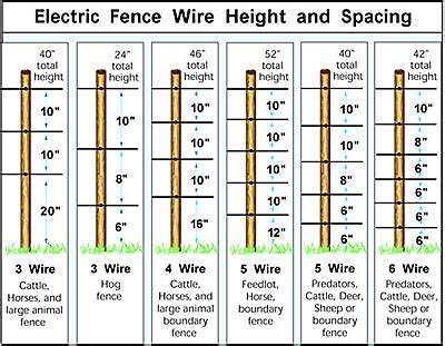 Large Farm Animal Fencing Supplies - Electric Fence products and ...