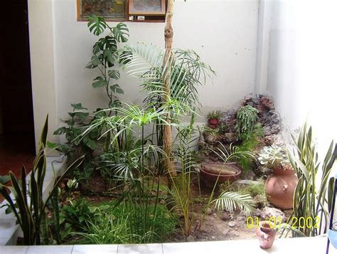 jardines interiores casas pequeñas - Buscar con Google | Plants, Garden ...