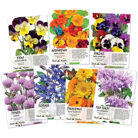 Buy Seed Needs, Edible Wildflower Seed Packet Collection ( 7 Varieties ...