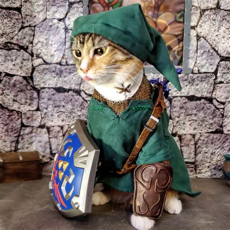 Cat Cosplay – Telegraph