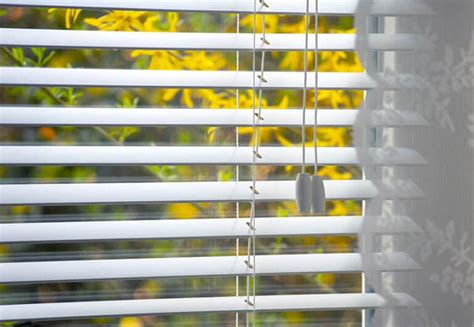 What Are The Different Types Of Window Blinds?