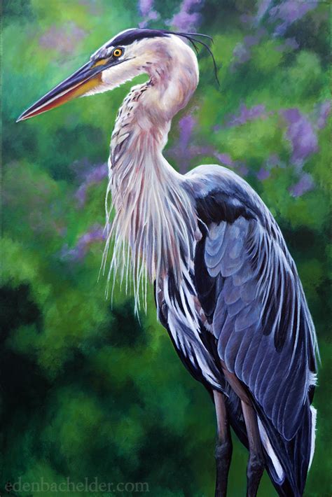 Great Blue Heron by shmeeden on DeviantArt