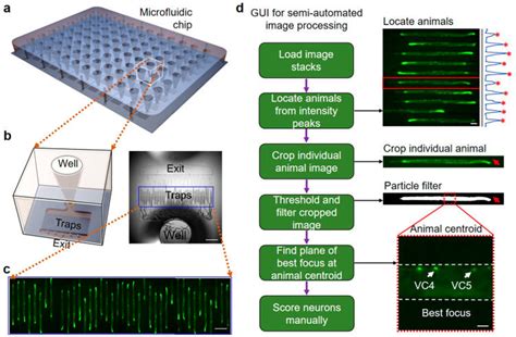 High-content screening (HCS) platform for high-resolution imaging and ...