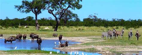 5+ Top Botswana Tourist Attractions & Places to Visit