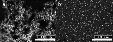 Displays the gold nanoparticles, insulin and 0.3% APTES solution trials ...