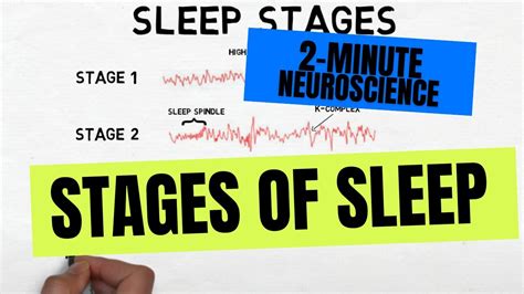 2-Minute Neuroscience: Stages of Sleep – Go IT