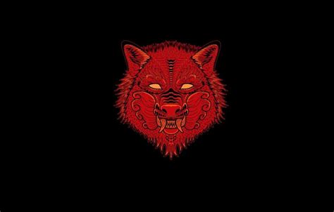 Download Stunning Red Wolf in the Wilderness Wallpaper | Wallpapers.com