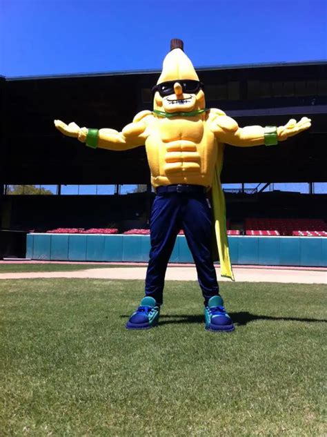 Savannah Bananas Mascot Split Surveys his Domain - April 8, 2016 Photo ...