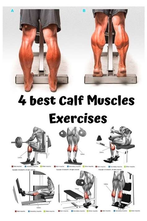 How To Workout Your Calves: Effective Exercises For Stronger Lower Legs