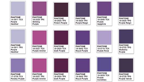 Purple Color Meaning & Symbolism | The Color Purple