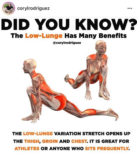 Ow lunges benefits #coolthingsaboutyoga | Yoga benefits, Fitness facts ...