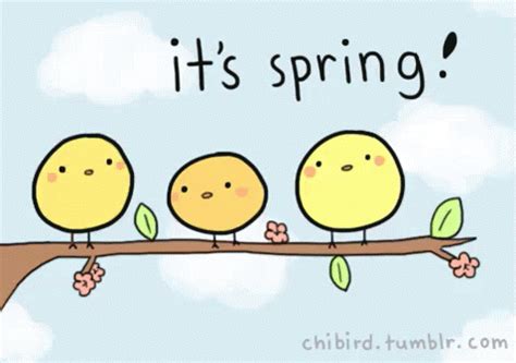 It'S Spring! GIF - Spring Its Spring Birds - Discover & Share GIFs