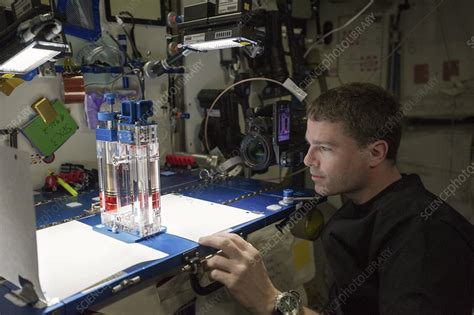 Astronaut conducting experiment on ISS - Stock Image - C054/7093 ...