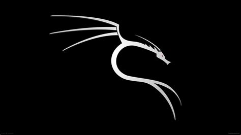 10+ Kali Linux HD Wallpapers | Background Images