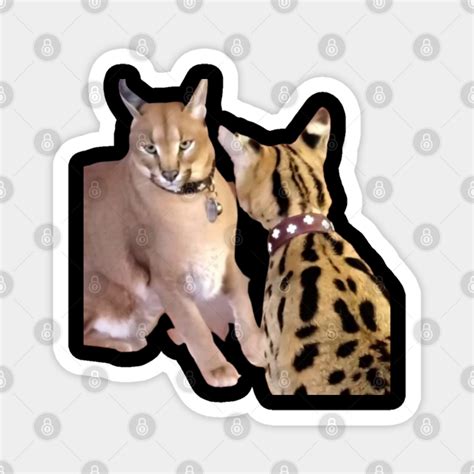 Sogga My Beloved Serval Meme Cat Meme - Sogga My Beloved - Magnet ...