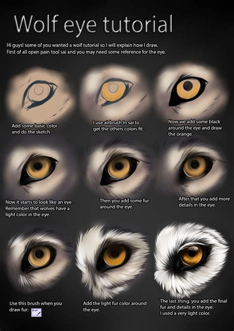 Wolf eye tutorial by TheMysticWolf on deviantART | Wolf eye drawing ...