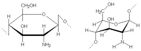 Chitosan: Structure | Pilgaard Polymers