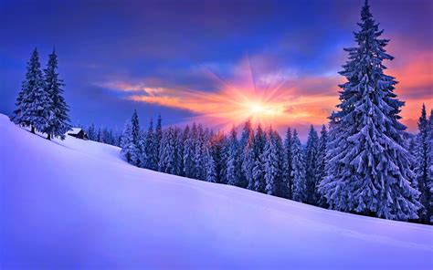 forest, Winter, Snow, Landscape, Pine Trees Wallpapers HD / Desktop and ...