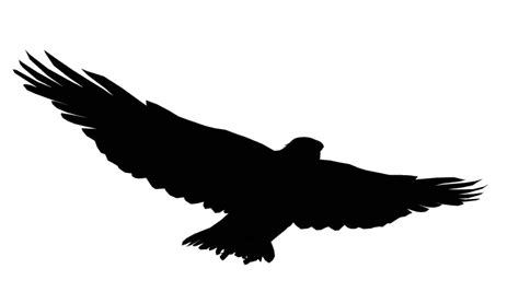 Soaring Eagle Silhouette at GetDrawings | Free download