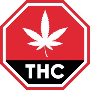 THC Logo PNG Vector (EPS) Free Download