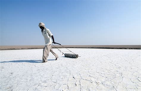 The Salt Farmers of the Rann of Kutch | The Diplomat