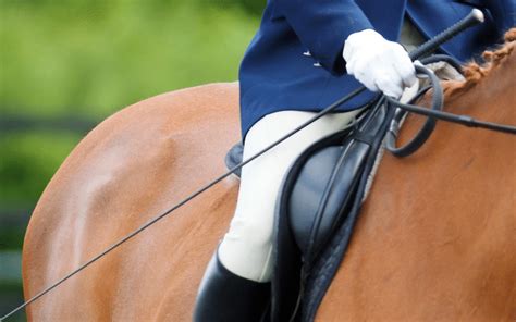 How to Use a Dressage Whip Correctly ⋆ How To Dressage