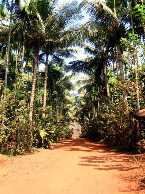 Sahakari Spice Farm Goa, India - Cuisines, Prices, Location & more