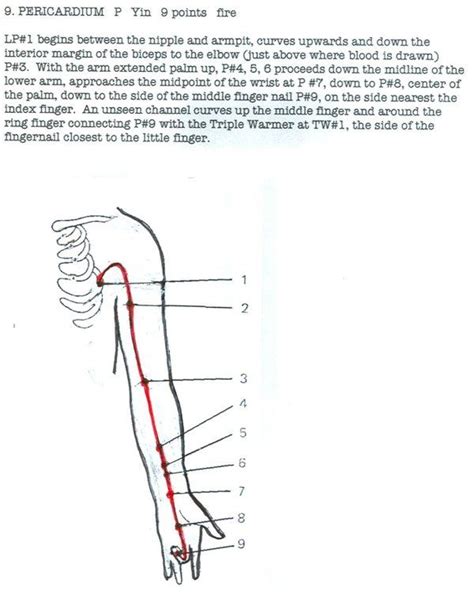 Pericardium meridian. | Pericardium meridian, Acupuncture points ...