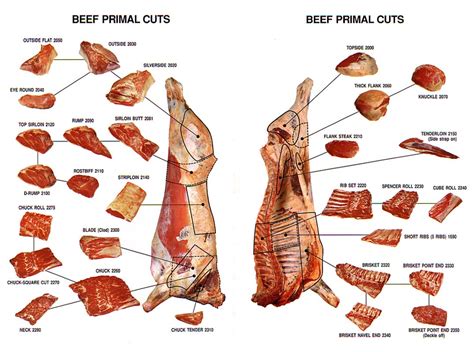 Beef Primal Cuts Chart. This is a good chart for the primal cuts ...