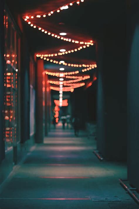 Pathway Lights Photos, Download The BEST Free Pathway Lights Stock ...