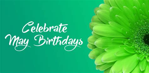 Emerald Flowers for May Birthdays | Peoples Flower Shops - Peoples Flowers