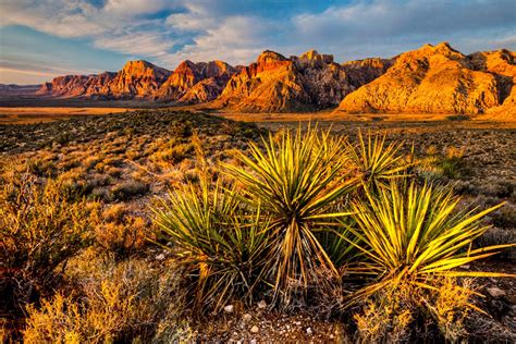 Red Rock Canyon National Conservation Area - Elite Traveler