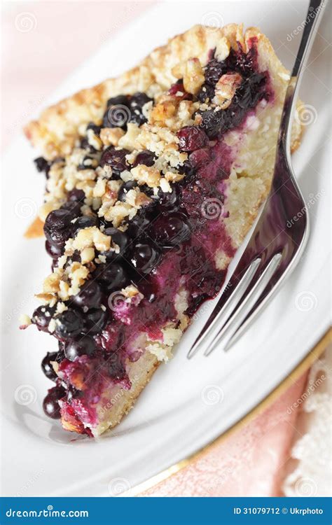 Bilberry pie stock photo. Image of food, macro, dessert - 31079712