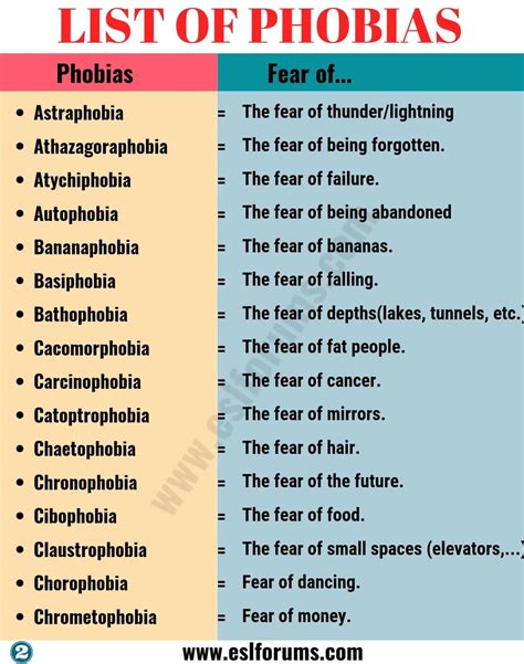 List of Phobias: Learn 105 Common Phobias of People around the World ...