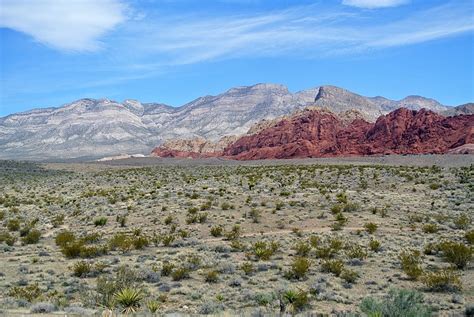 Red Rock Canyon National Conservation Area - Wikipedia