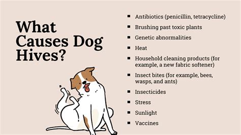 Our 7 Remedies for Dog Hives! - Volhard Dog Nutrition