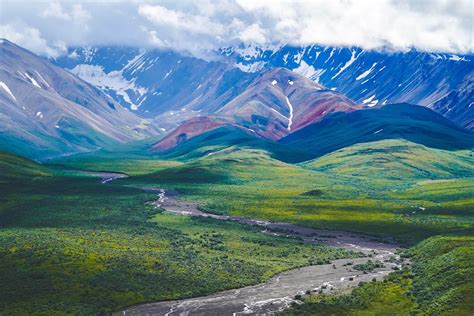 Plan Your Visit in Denali National Park (2025) — Handpicked Alaska