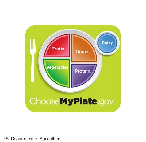 Human nutrition | Importance, Essential Nutrients, Food Groups, & Facts ...