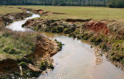 Environmental Health 3100: Stream Erosion