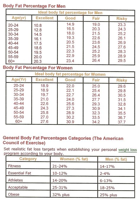 Healthy body fat percentage for teens | XXX Porn Library