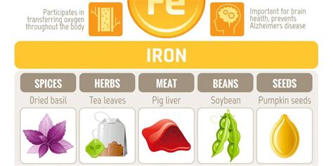 Iron Deficiency: Low Ferritin, Hair Loss and Thinning - Sandra Bloom