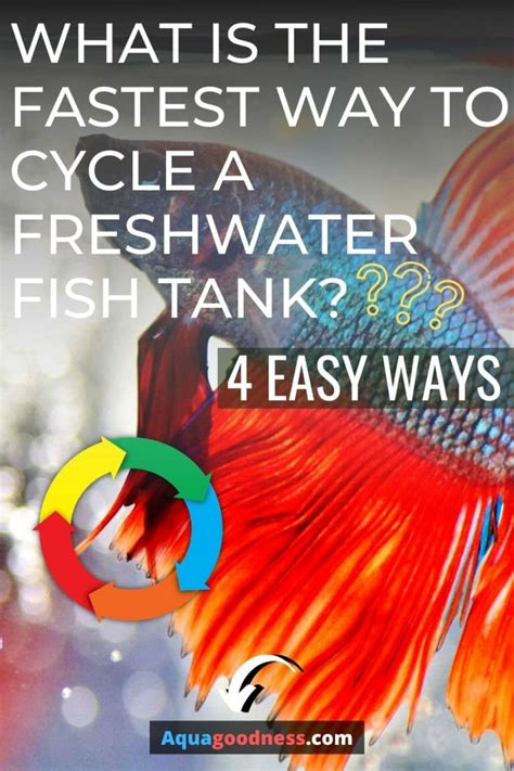 What Is The Fastest Way To Cycle A Freshwater Fish Tank? (4 Easy ways)