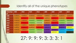 Trihybrid Cross Punnett Square Tutorial | Doovi