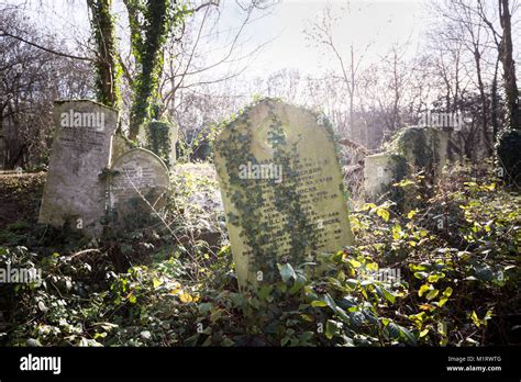 Tower Hamlets Cemetery Park in East London, UK Stock Photo - Alamy