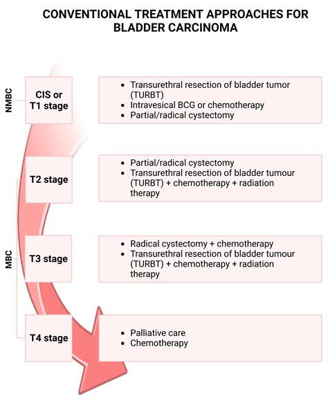 IJMS | Free Full-Text | Focus on the Use of Resveratrol in Bladder Cancer