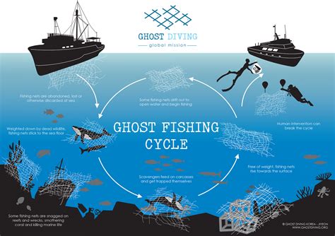 What is ghost fishing and how can we save whales getting caught in old ...