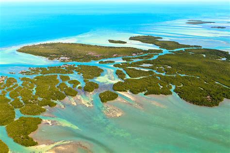 Juvenile Tarpon Habitat Mapping | Bonefish & Tarpon Trust