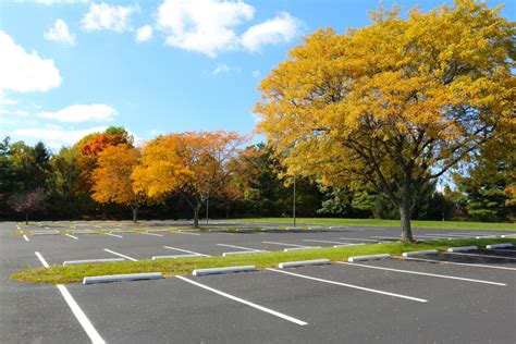 Essential Factors for Effective Parking Lot Design